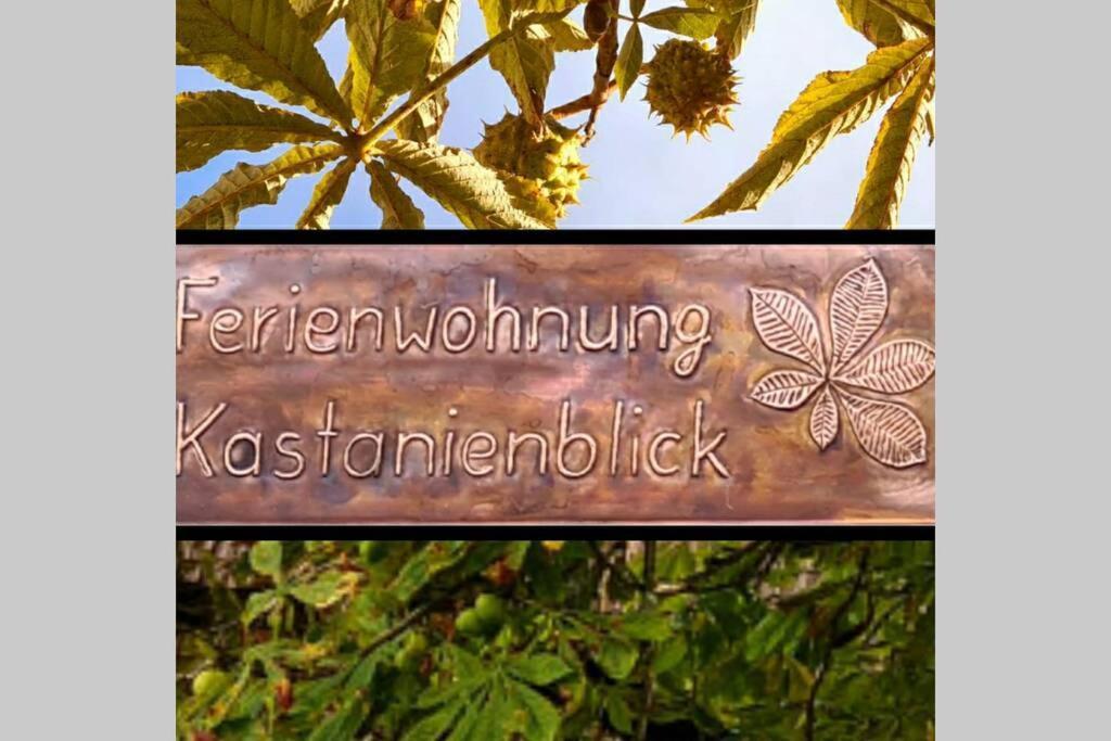 Апартаменты Kastanienblick Санкт-Андреасберг Экстерьер фото
